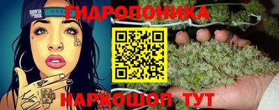 гидра Краснодар